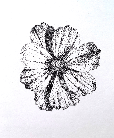 Fower drawn with stippling