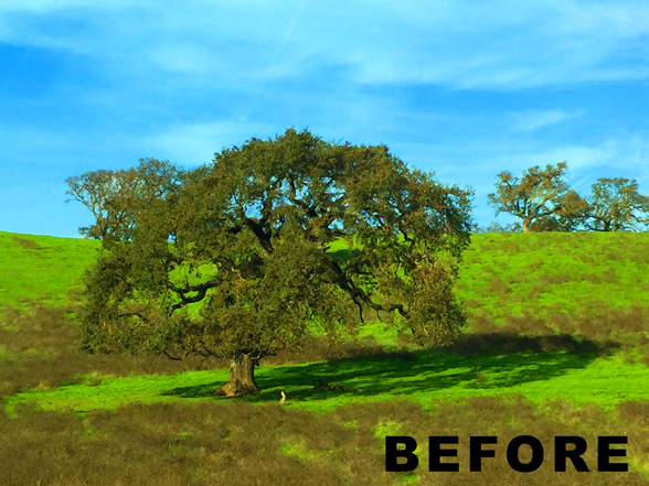 Landscape before being edited