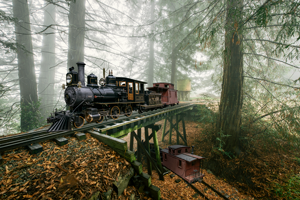 Train on tracks in the woods